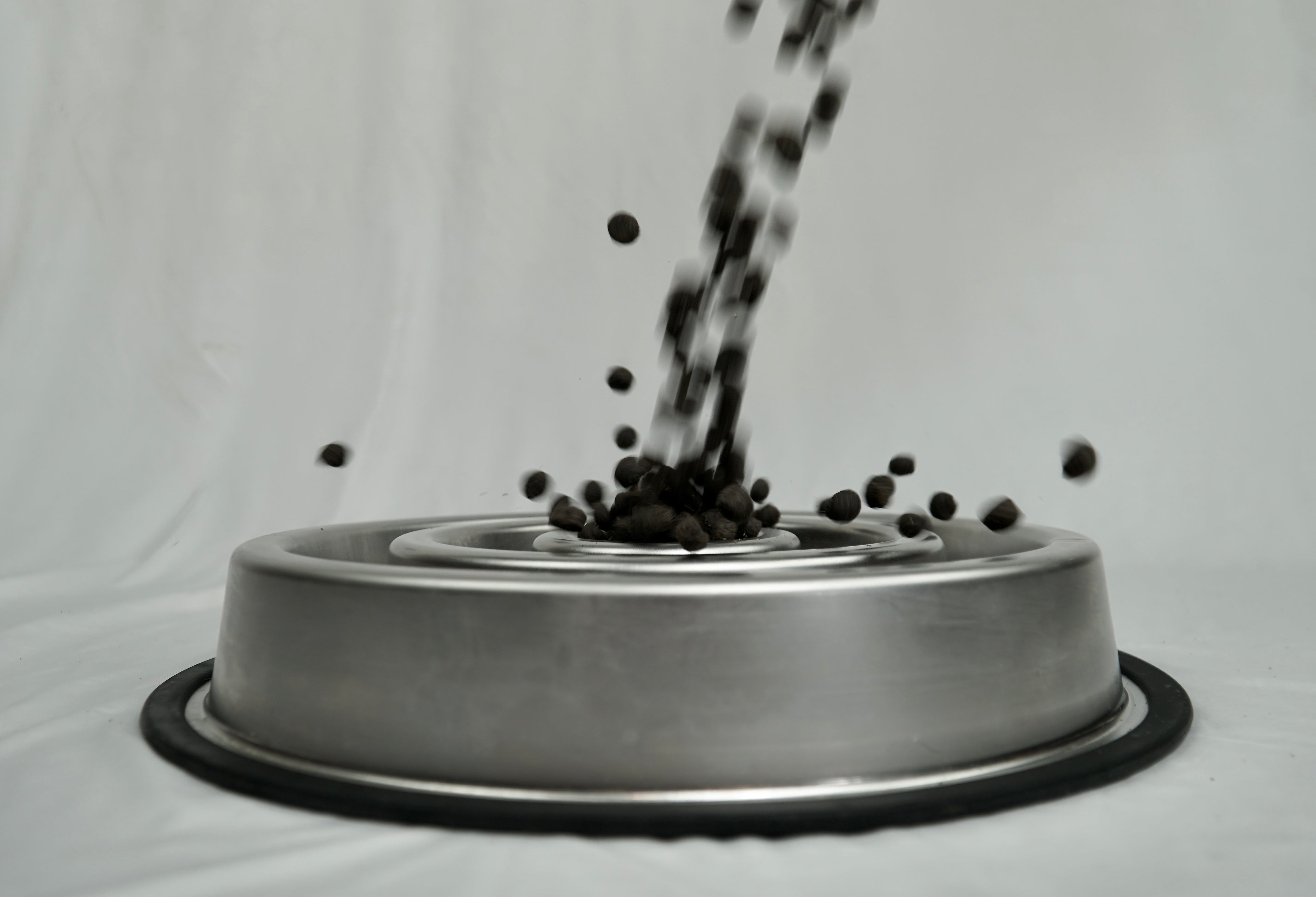 Stainless Steel SlowFeeder Dog Bowl